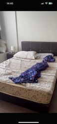 Kembangan Suites (D14), Apartment #446548371
